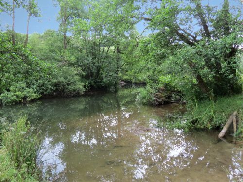 3.-Upstream-from-Bridgetown-Mill-Weir-6