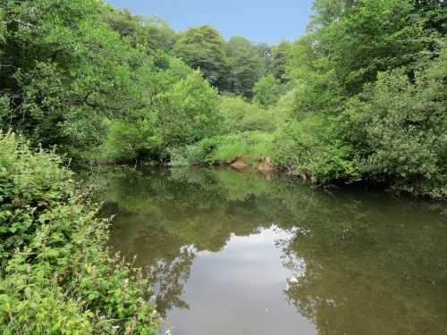 3.-Upstream-from-Bridgetown-Mill-Weir-7