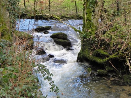 3.-Upstream-from-Confluence-with-River-Haddeo-2