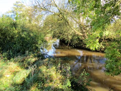 3.-Upstream-from-Langaller-Weir-1
