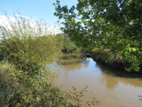 3.-Upstream-from-Langaller-Weir-2