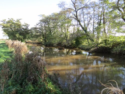 3.-Upstream-from-Langaller-Weir-4