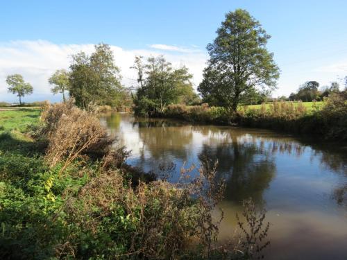 3.-Upstream-from-Langaller-Weir-5