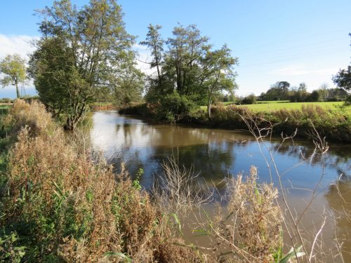 3.-Upstream-from-Langaller-Weir-6