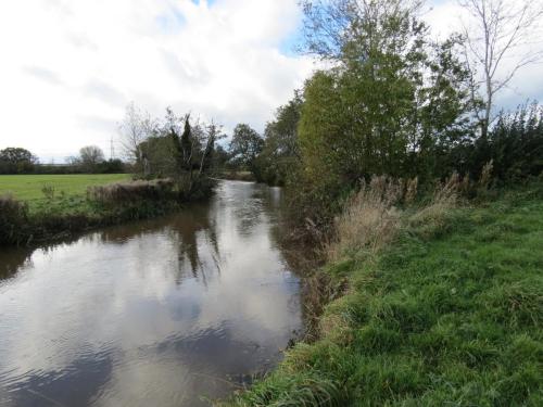3.-Upstream-from-Langaller-Weir-8