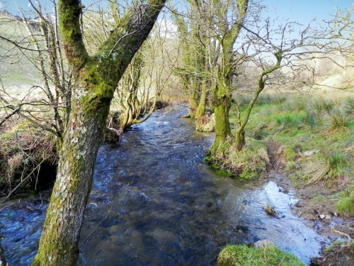 3.-Upstream-from-ROW-bridge-2122-2