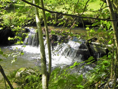 3.-Watercombe-Weir-2