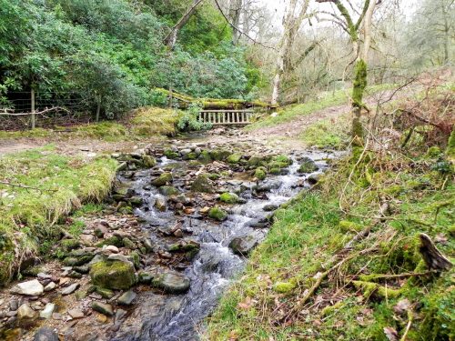 3.-Waters-join-from-Bin-Combe-2