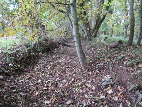 3.-Wellisford-Manor-Leat-3