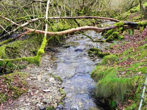 30.-Downstream-from-Ash-Combe-2