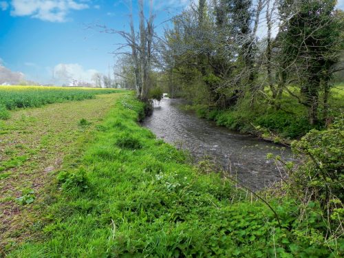 30.-Downstream-from-Frackford-Bridge-2