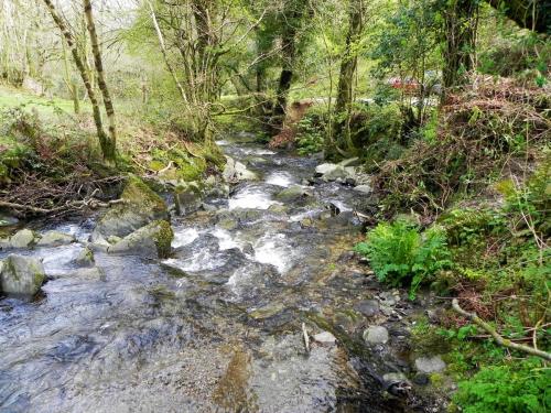 30.-Downstream-from-Heddon-Valley-Mill-2