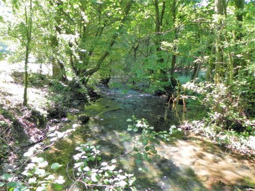 30.-Downstream-from-Perry-Copse-Tributary-Stream-join-2