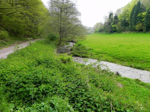 30.-Downstream-from-Traphole-road-bridge-3