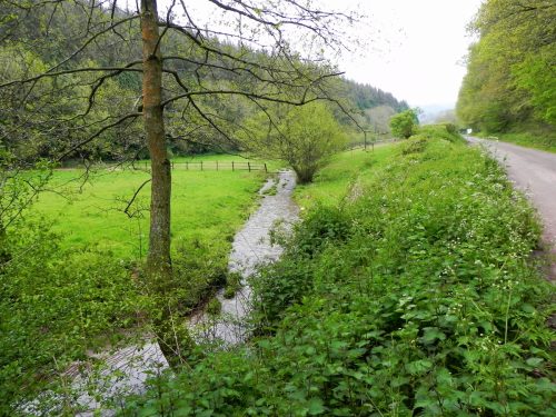 30.-Downstream-from-Traphole-road-bridge-4