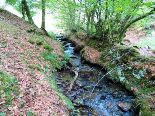 30.-Flowing-below-Beaters-Rocks-2