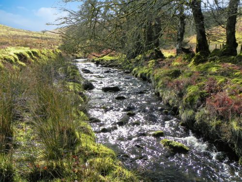 30.-Flowing-below-Furzehill-Common-2