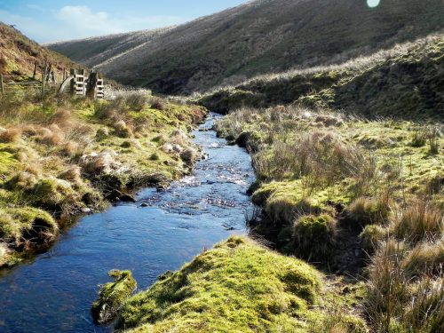 30.-Flowing-below-Hoccombe-Hill-2