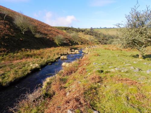 30.-Flowing-below-Stowey-Ridge-2