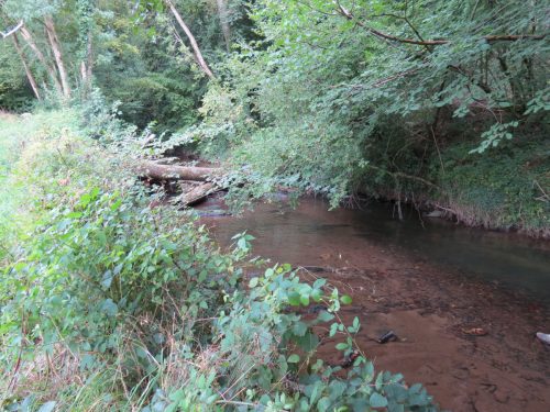30.-Flowing-through-Clover-Close-Copse