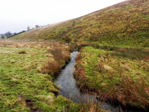 30.-Flowing-through-Long-Combe-2