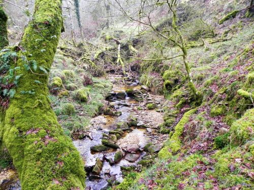 30.-Flowing-through-Mansley-Combe-2