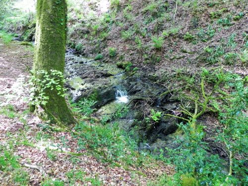30.-Flowing-through-Old-Stowey-Wood-15