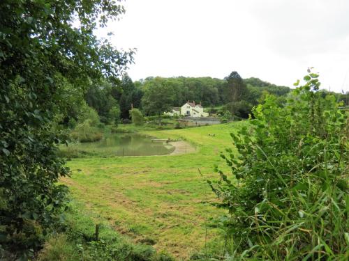 30.-Glencott-Pond-near-Pouch-Bridge-2