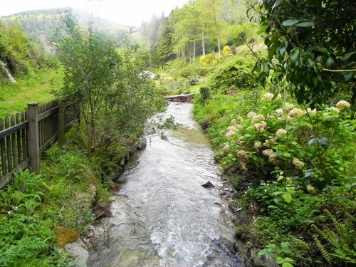 30.-Looking-downstream-from-ROW-Footbridge-2816-2