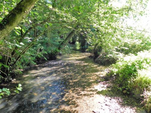 30.-Looking-downstream-from-Tuck-Mill-ROW-footbridge-2