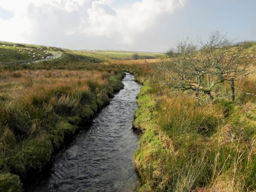30.-Looking-upstream-from-ROW-Bridge-3490-2