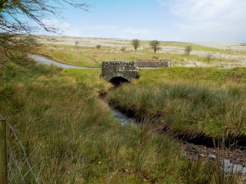 30.-Upstream-from-Chetsford-Bridge-3