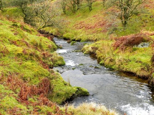 30.-Upstream-from-Colley-Water-2