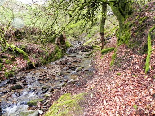30.-Upstream-from-Higher-Holworthy-2