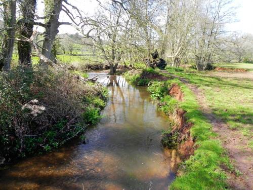 30.-Upstream-from-Holnicote-House-Footbridge-2