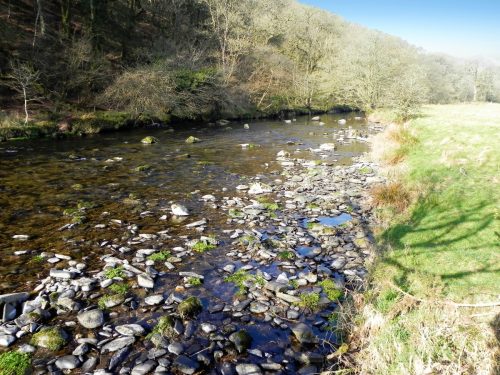 30.-Upstream-from-Three-Waters-2
