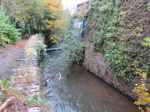 30.-Upstream-from-Tone-Bridge