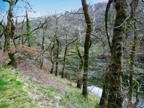 30.-Wimbleball-Lake-and-Dam-106