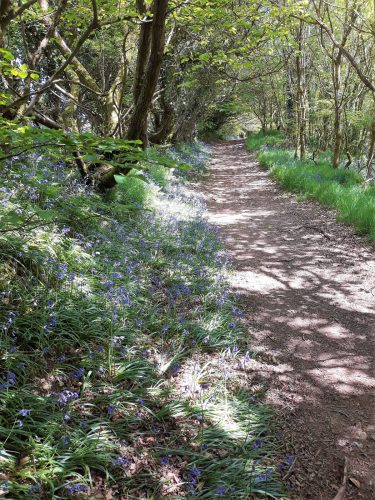 30.-Wimbleball-Lake-and-Dam-114