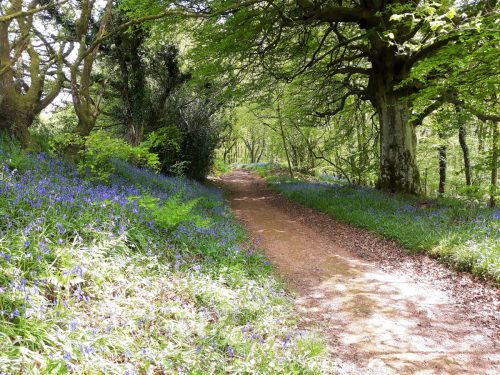 30.-Wimbleball-Lake-and-Dam-115