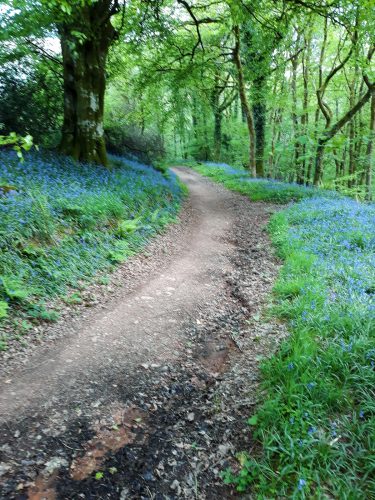30.-Wimbleball-Lake-and-Dam-116