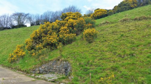 30.-Wimbleball-Lake-and-Dam-121