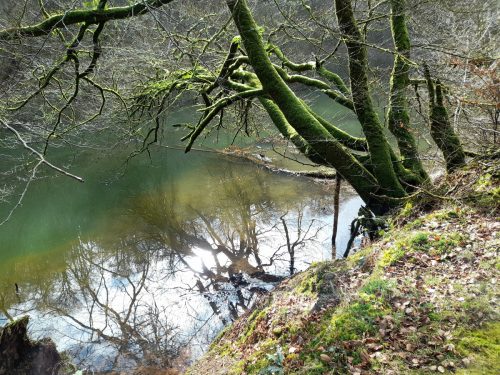 30.-Wimbleball-Lake-and-Dam-128