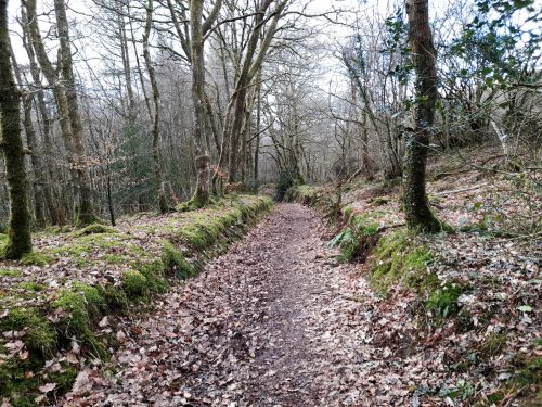 30.-Wimbleball-Lake-and-Dam-129