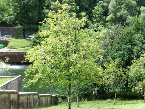 30.-Wimbleball-Lake-and-Dam-26