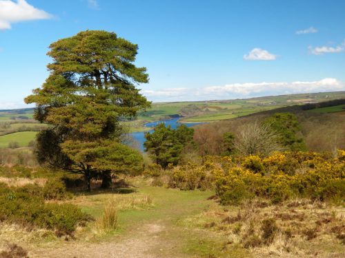 30.-Wimbleball-Lake-and-Dam-83