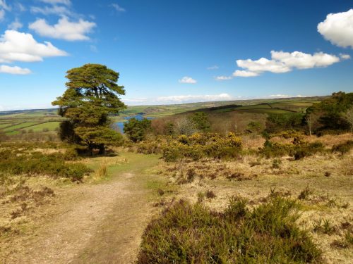 30.-Wimbleball-Lake-and-Dam-84