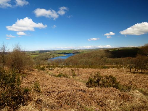 30.-Wimbleball-Lake-and-Dam-85