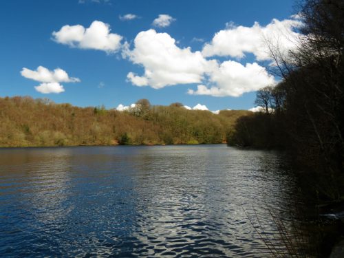 30.-Wimbleball-Lake-and-Dam-94
