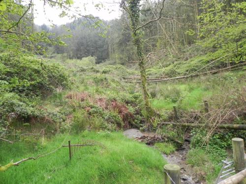 30.-Withiel-Hill-headwaters-join-1